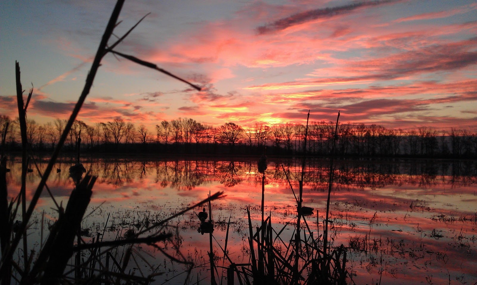 home duck hunting new mexico sport and recreation